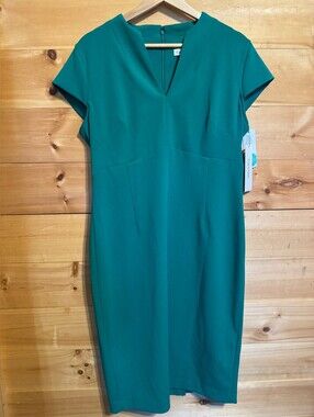 Calvin Klein Kelly Dress *12 *NWT